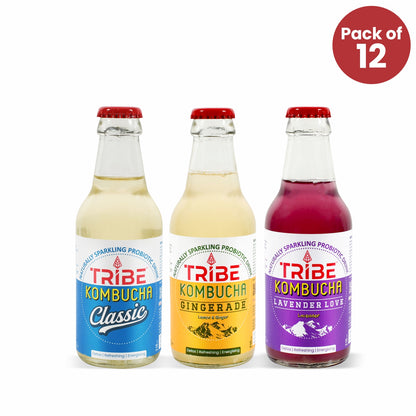 Tribe Kombucha Naturally Sparkling Probiotic Herbal drink Classic +Gingerade + Lavender Gluten free 210 ML