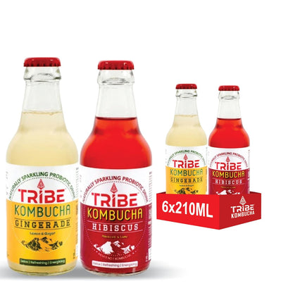 Tribe Kombucha Naturally Sparkling Gingerade & Hibiscus Probiotic Super Drink, 210ML