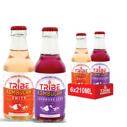 Tribe Kombucha Naturally Sparkling Probiotic Herbal drink Unity + Lavender Gluten free 210 ML