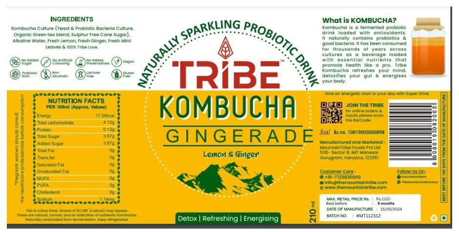 Tribe Kombucha Ginerade  7 Days - Weight Management - Detox - Antioxidant  Gluten free  Pack of 7 330 ML