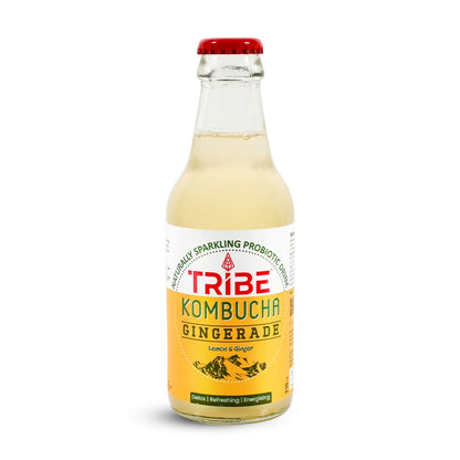 Tribe Kombucha Ginerade  7 Days - Weight Management - Detox - Antioxidant  Gluten free  Pack of 7 210 ML