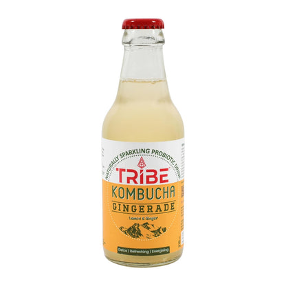 Tribe Kombucha Naturally Sparkling Herbal Gingerade & Unity Probiotic Super Drink, 210ML