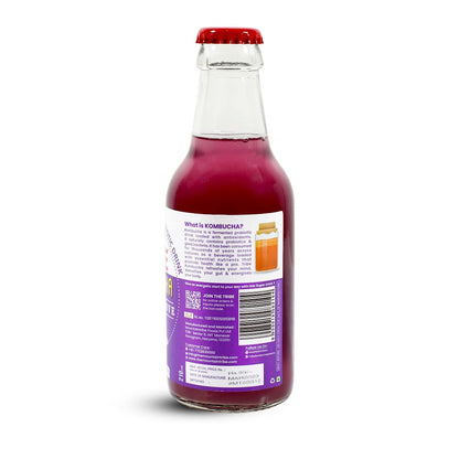 Tribe Kombucha Lavender Love 7 Days - Weight Management - Detox - Antioxidant  Gluten free  Pack of 7 330 ML