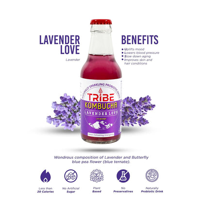 Tribe Kombucha Lavender Love 7 Days - Weight Management - Detox - Antioxidant  Gluten free  Pack of 7 330 ML