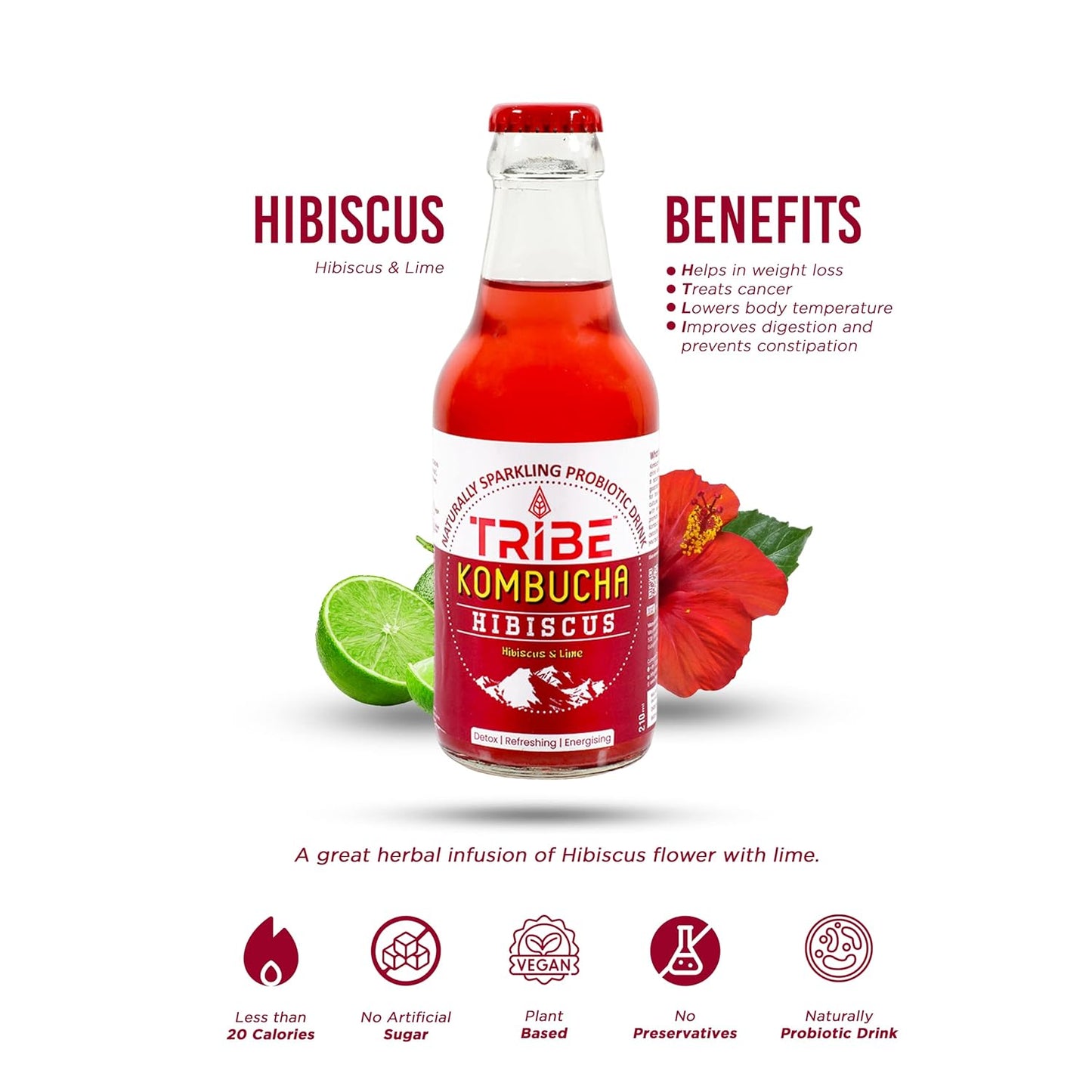 Tribe Kombucha Hibiscus 7 Days - Weight Management - Detox - Antioxidant  Gluten free  Pack of 7 210 ML