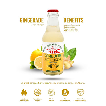 Tribe Kombucha Ginerade  7 Days - Weight Management - Detox - Antioxidant  Gluten free  Pack of 7 330 ML