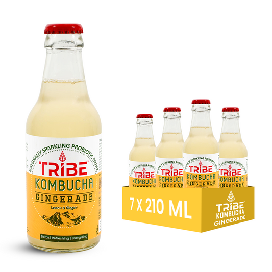 Tribe Kombucha Ginerade  7 Days - Weight Management - Detox - Antioxidant  Gluten free  Pack of 7 210 ML