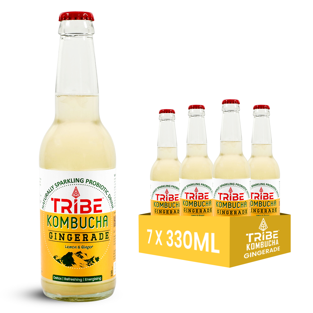 Tribe Kombucha Ginerade  7 Days - Weight Management - Detox - Antioxidant  Gluten free  Pack of 7 330 ML