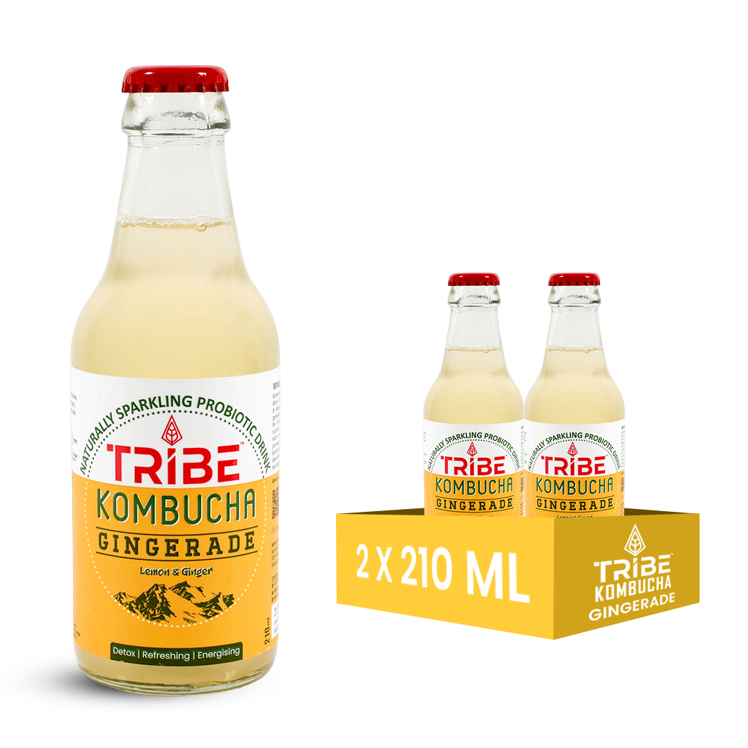 Tribe Kombucha Naturally Sparkling Herbal Gingerade Probiotic Super Drink, 210ML