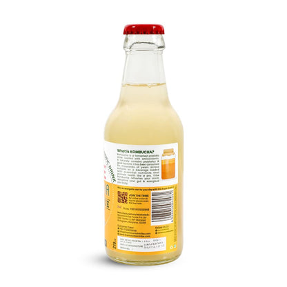 Tribe Kombucha Naturally Sparkling Herbal Classic, Gingerade & Lavender Probiotic Super Drink, 330ML