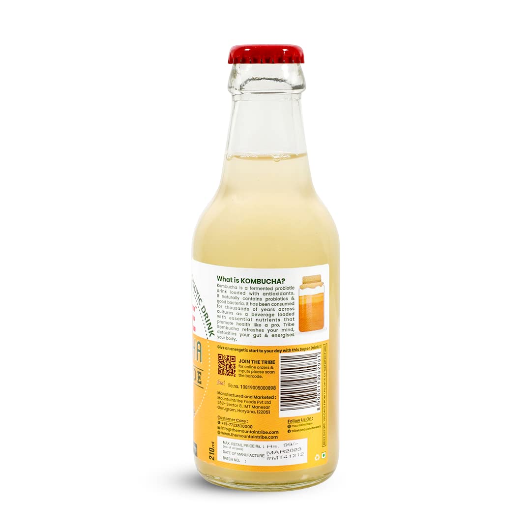 Tribe Kombucha Naturally Sparkling Probiotic Herbal drink Gingerade + Lavender Gluten free 330 ML