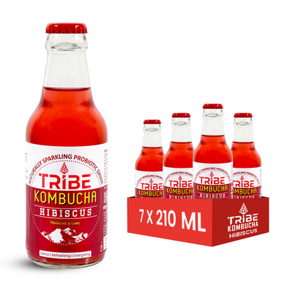 Tribe Kombucha Hibiscus 7 Days - Weight Management - Detox - Antioxidant  Gluten free  Pack of 7 210 ML