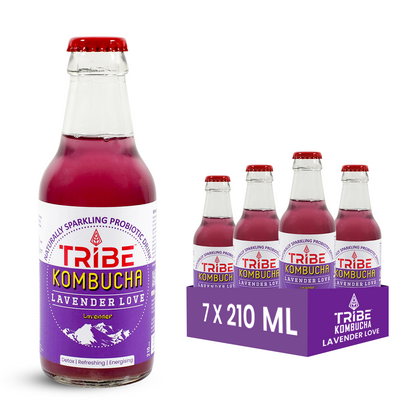 Tribe Kombucha Lavender Love 7 Days - Weight Management - Detox - Antioxidant  Gluten free  Pack of 7 210 ML