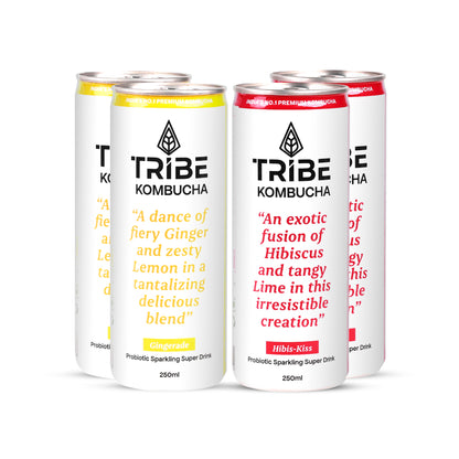 Tribe Kombucha Naturally Sparkling Herbal Gingerade & Hibiscus Probiotic Super Drink, 250ML