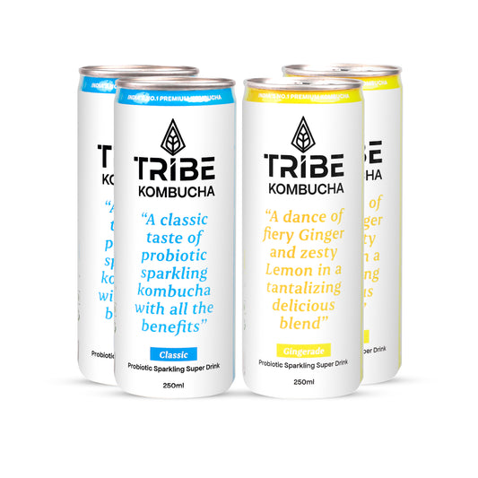 Tribe Kombucha Naturally Sparkling Herbal Classic & Gingerade Probiotic Super Drink, 250ML