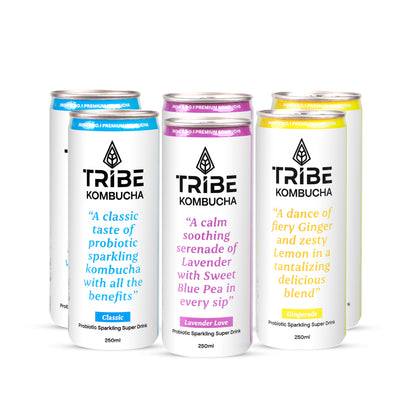 Tribe Kombucha Naturally Sparkling Classic, Lavender, Gingerade Probiotic Super Drink, 250ML