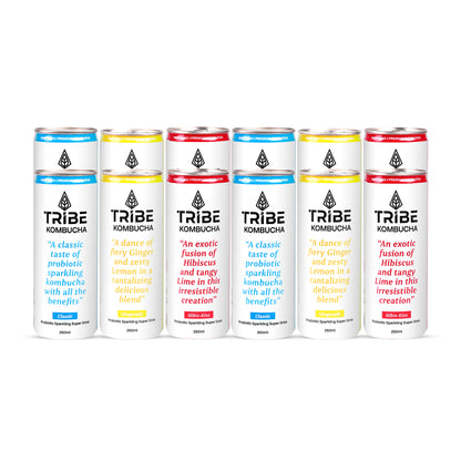 Tribe Kombucha Naturally Sparkling Classic, Gingerade & Hibiscus Probiotic Super Drink, 250ML