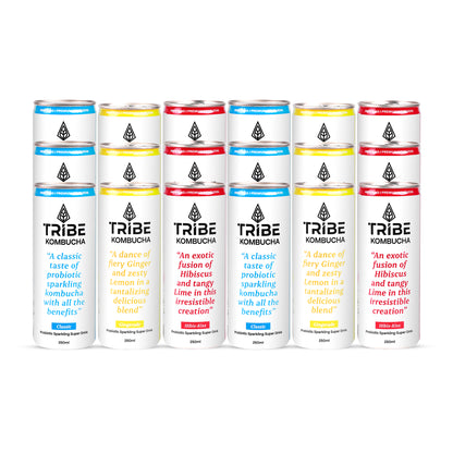 Tribe Kombucha Naturally Sparkling Classic, Gingerade & Hibiscus Probiotic Super Drink, 250ML