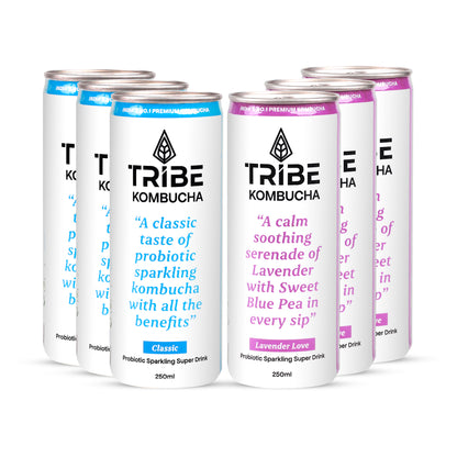 Tribe Kombucha Naturally Sparkling Herbal Classic & Lavender Probiotic Super Drink, 250ML