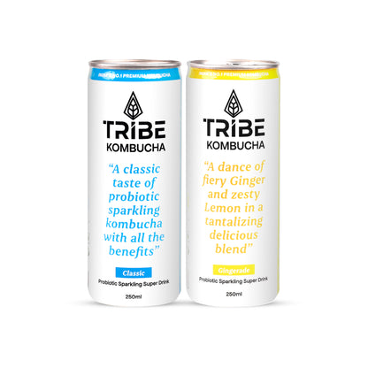 Tribe Kombucha Naturally Sparkling Herbal Classic & Gingerade Probiotic Super Drink, 250ML