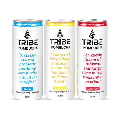 Tribe Kombucha Naturally Sparkling Classic, Gingerade & Hibiscus Probiotic Super Drink, 250ML