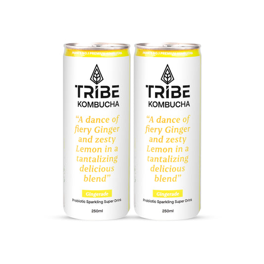 Tribe Kombucha Naturally Sparkling Herbal Gingerade Probiotic Super Drink, 250ML