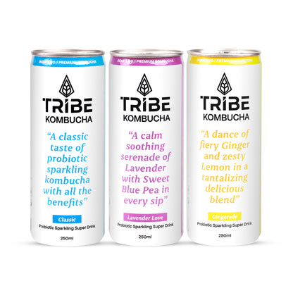 Tribe Kombucha Naturally Sparkling Classic, Lavender, Gingerade Probiotic Super Drink, 250ML