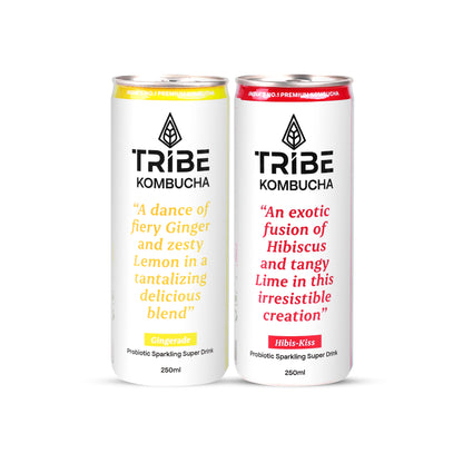 Tribe Kombucha Naturally Sparkling Herbal Gingerade & Hibiscus Probiotic Super Drink, 250ML