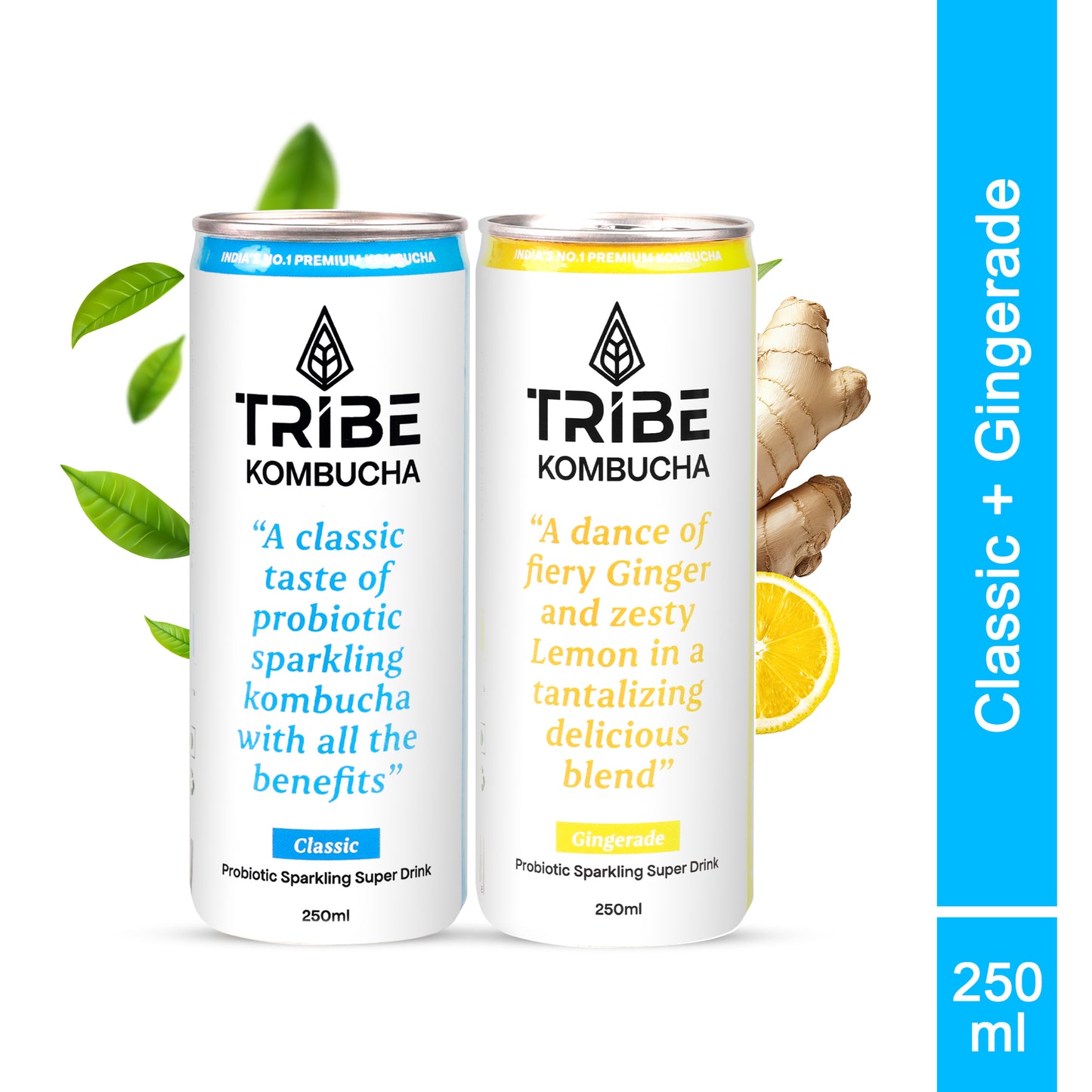 Tribe Kombucha Naturally Sparkling Herbal Classic & Gingerade Probiotic Super Drink, 250ML