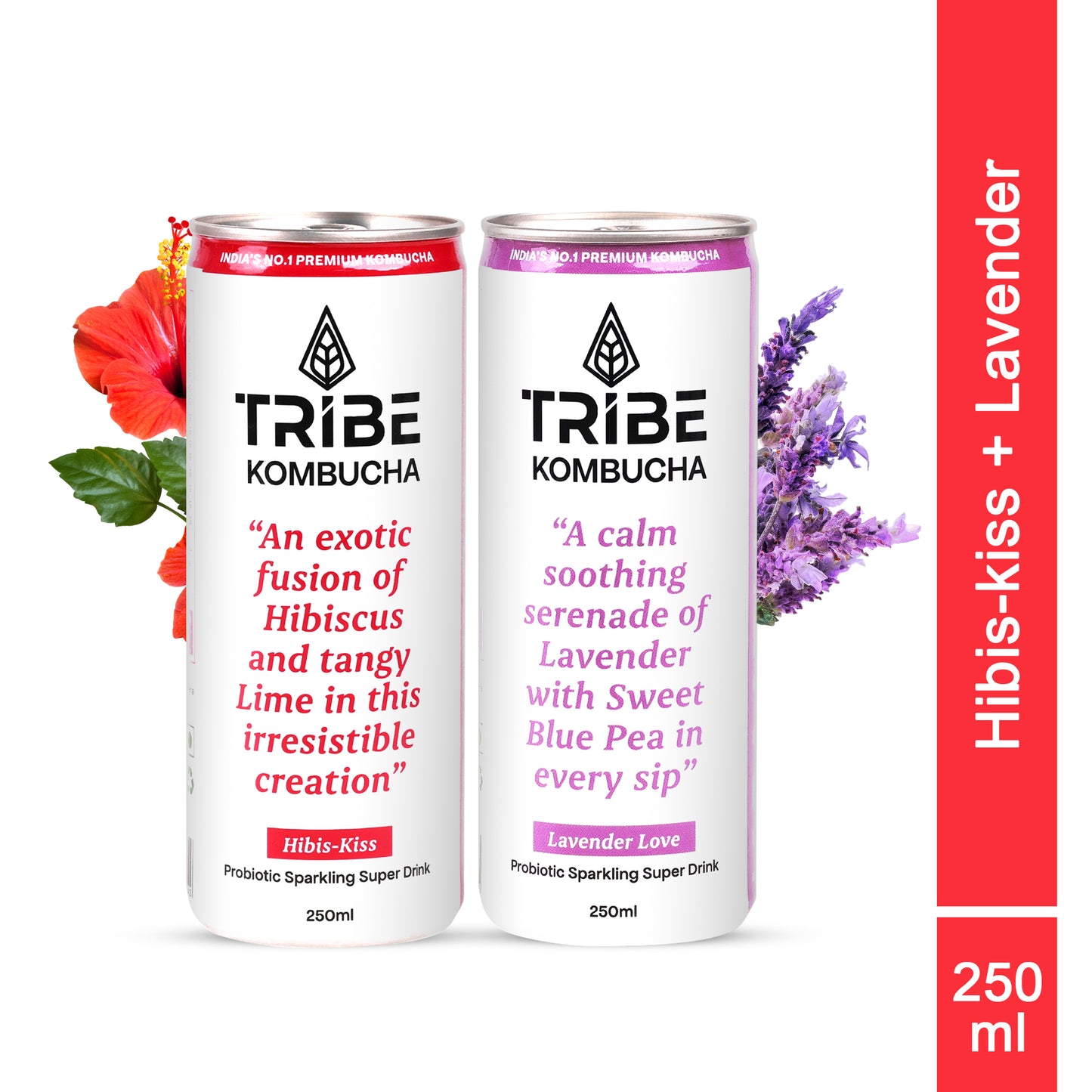 Tribe Kombucha Naturally Sparkling Hibiscus, Lavender Probiotic Super Drink, 250ML