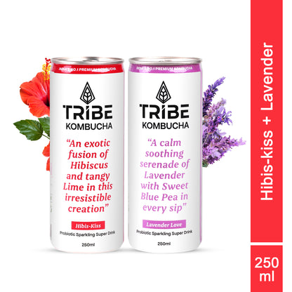 Tribe Kombucha Naturally Sparkling Hibiscus, Lavender Probiotic Super Drink, 250ML