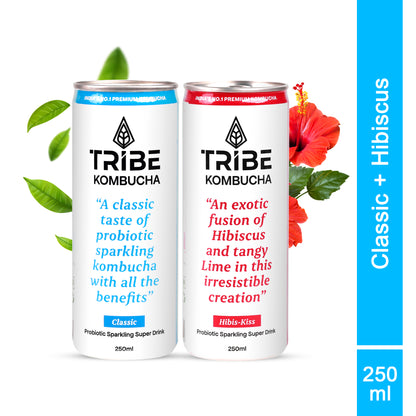 Tribe Kombucha Naturally Sparkling Herbal Classic & Hibiscus Probiotic Super Drink, 250ML