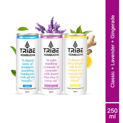 Tribe Kombucha Naturally Sparkling Classic, Lavender, Gingerade Probiotic Super Drink, 250ML