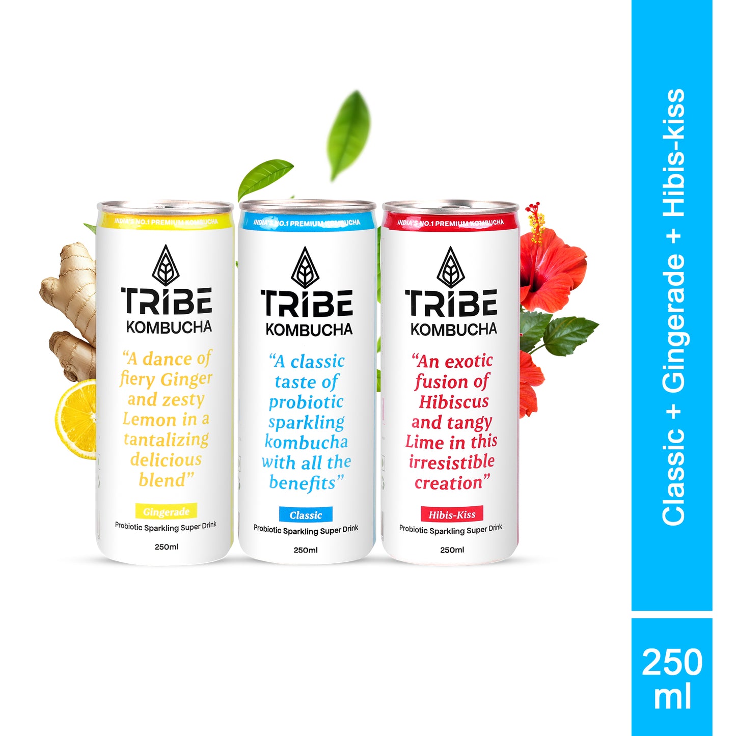 Tribe Kombucha Naturally Sparkling Classic, Gingerade & Hibiscus Probiotic Super Drink, 250ML