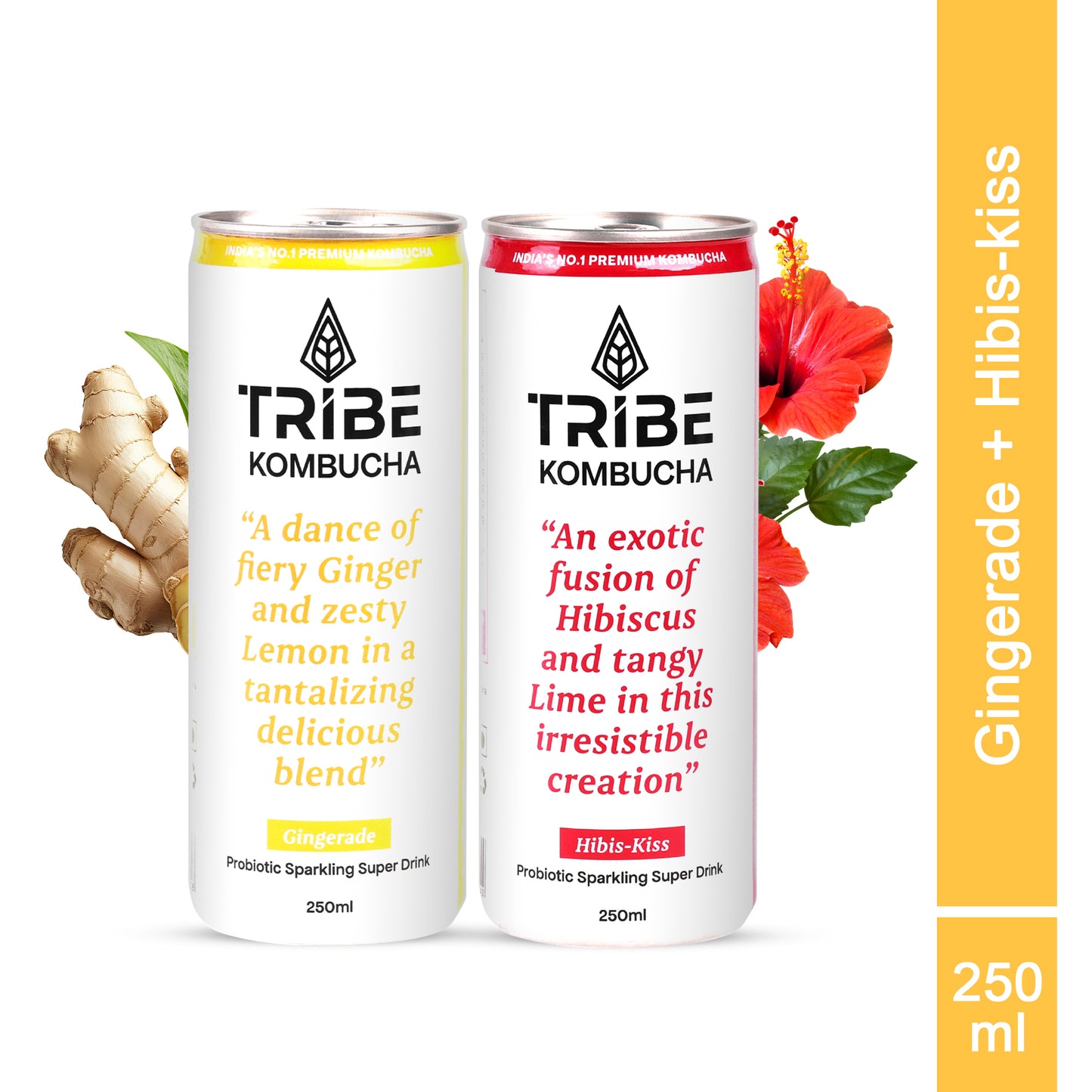 Tribe Kombucha Naturally Sparkling Herbal Gingerade & Hibiscus Probiotic Super Drink, 250ML