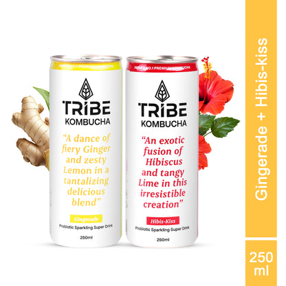 Tribe Kombucha Naturally Sparkling Herbal Gingerade & Hibiscus Probiotic Super Drink, 250ML