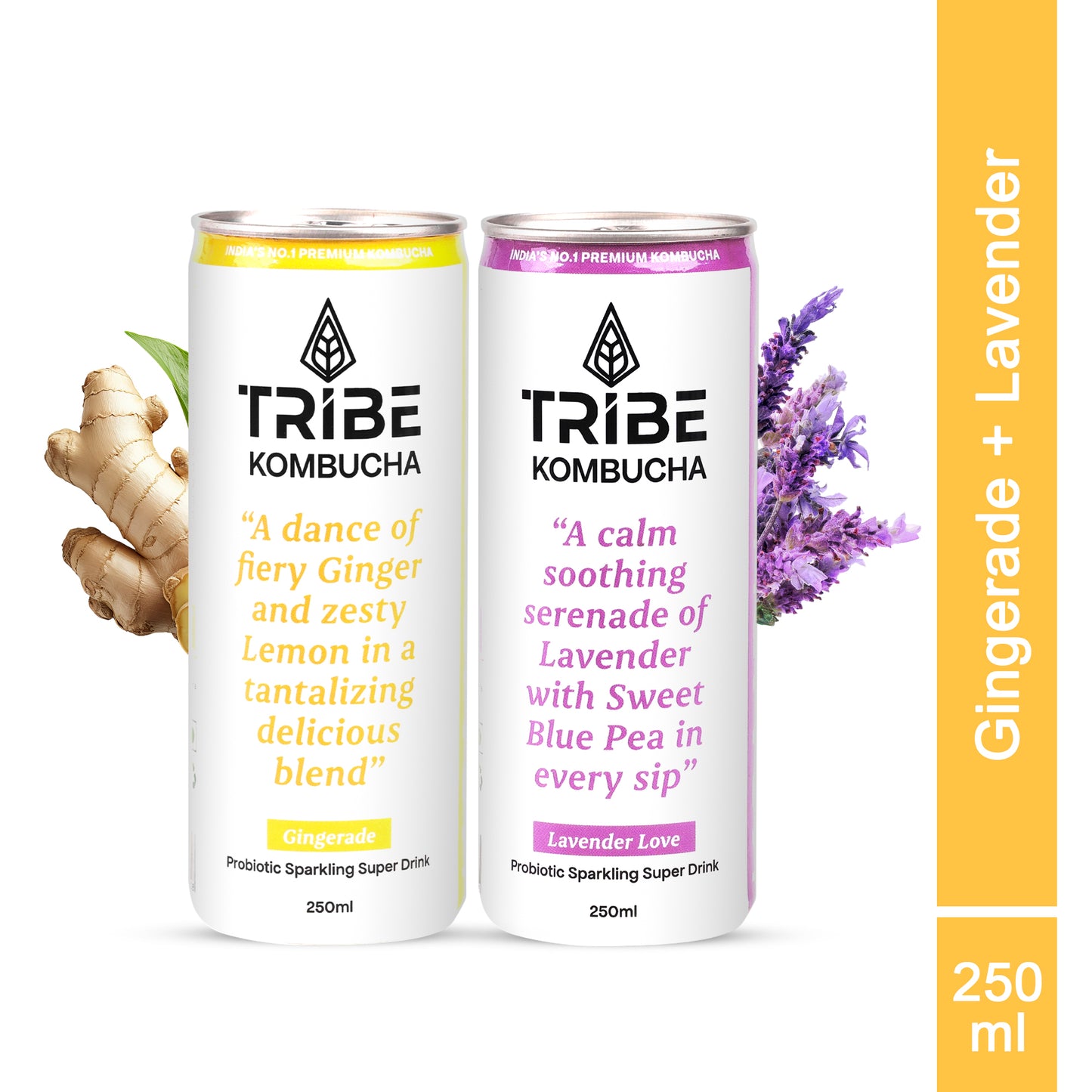 Tribe Kombucha Naturally Sparkling Gingerade, Lavender Probiotic Super Drink, 250ML