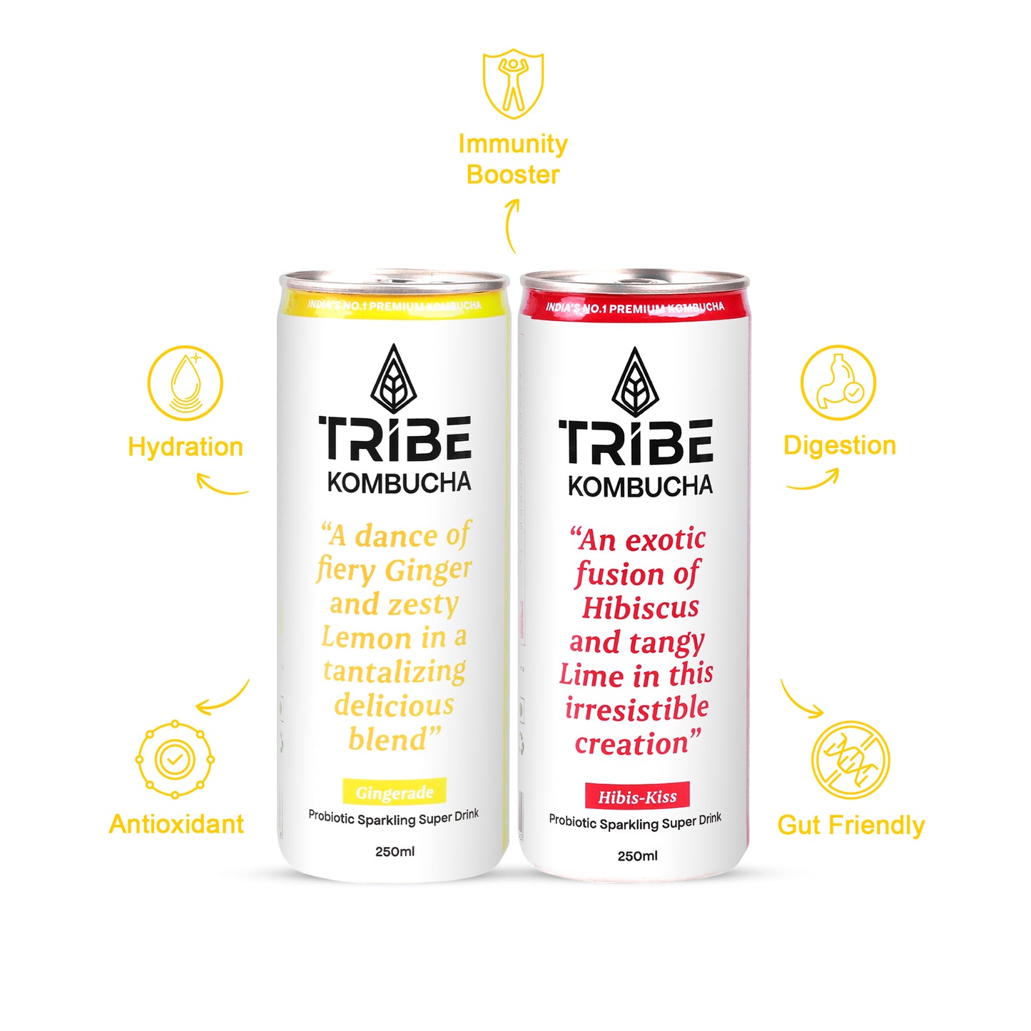 Tribe Kombucha Naturally Sparkling Herbal Gingerade & Hibiscus Probiotic Super Drink, 250ML