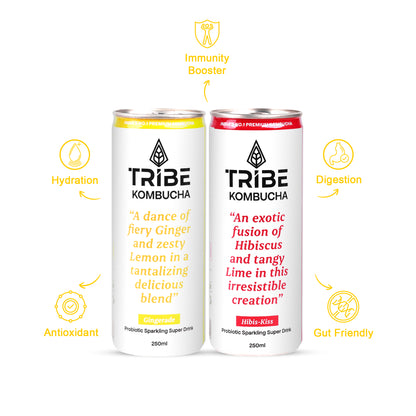 Tribe Kombucha Naturally Sparkling Herbal Gingerade & Hibiscus Probiotic Super Drink, 250ML