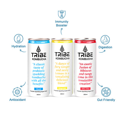 Tribe Kombucha Naturally Sparkling Classic, Gingerade & Hibiscus Probiotic Super Drink, 250ML