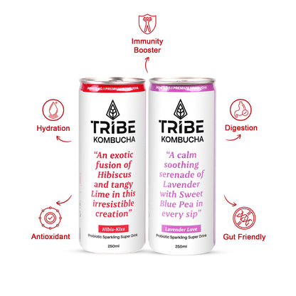 Tribe Kombucha Naturally Sparkling Hibiscus, Lavender Probiotic Super Drink, 250ML