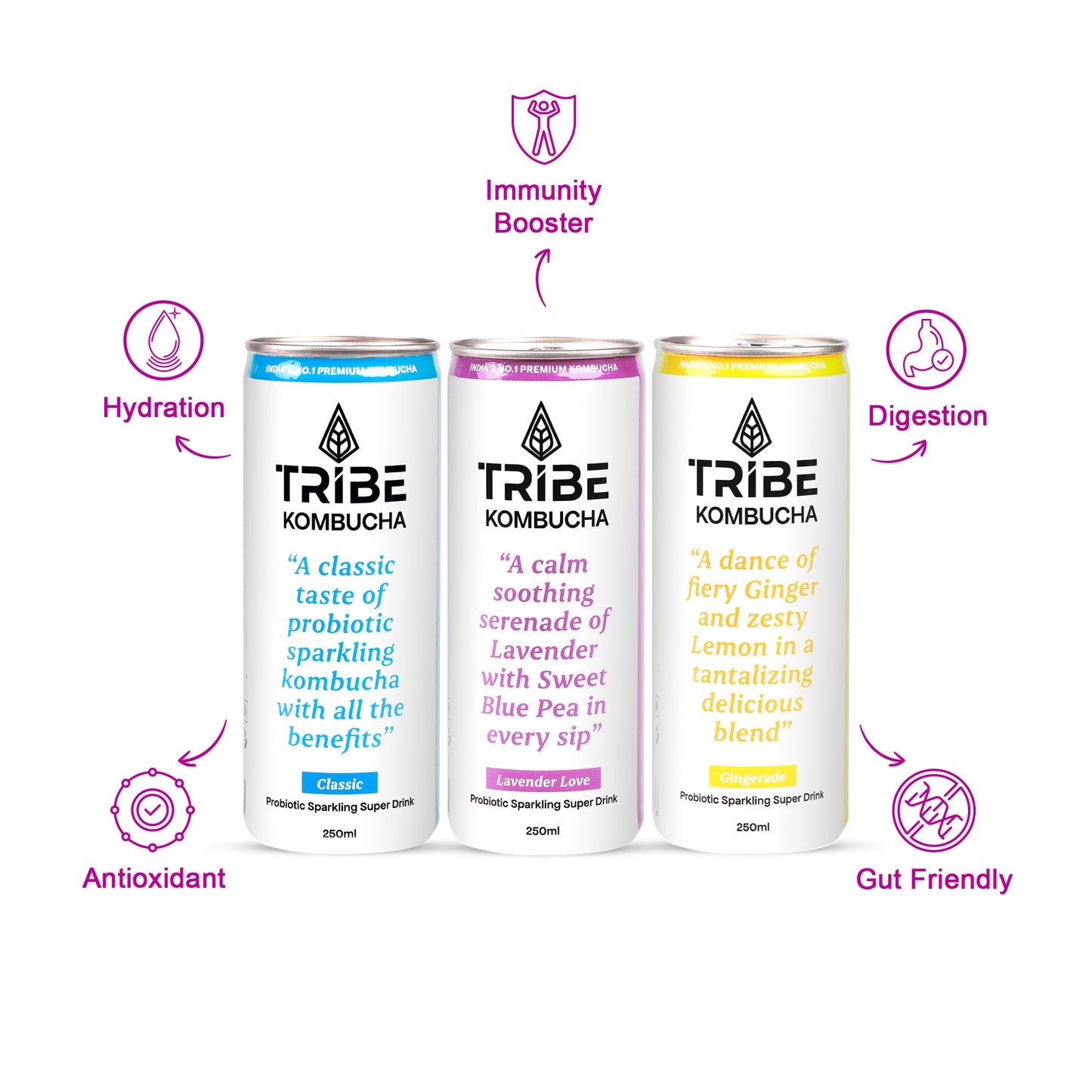 Tribe Kombucha Naturally Sparkling Classic, Lavender, Gingerade Probiotic Super Drink, 250ML