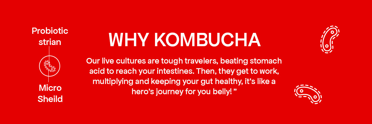 Why Kombucha