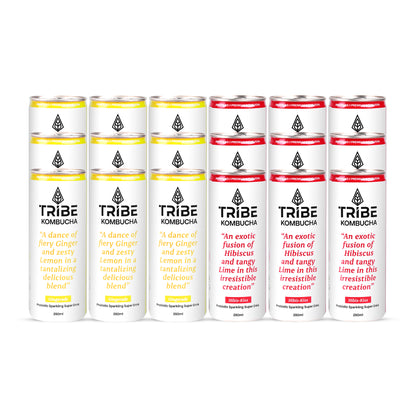 Tribe Kombucha Naturally Sparkling Herbal Gingerade & Hibiscus Probiotic Super Drink, 250ML