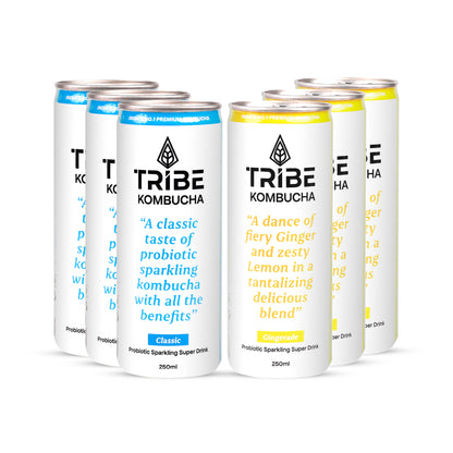 Tribe Kombucha Naturally Sparkling Herbal Classic & Gingerade Probiotic Super Drink, 250ML