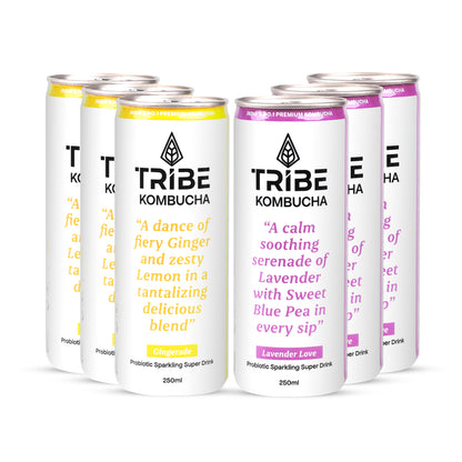 Tribe Kombucha Naturally Sparkling Gingerade, Lavender Probiotic Super Drink, 250ML